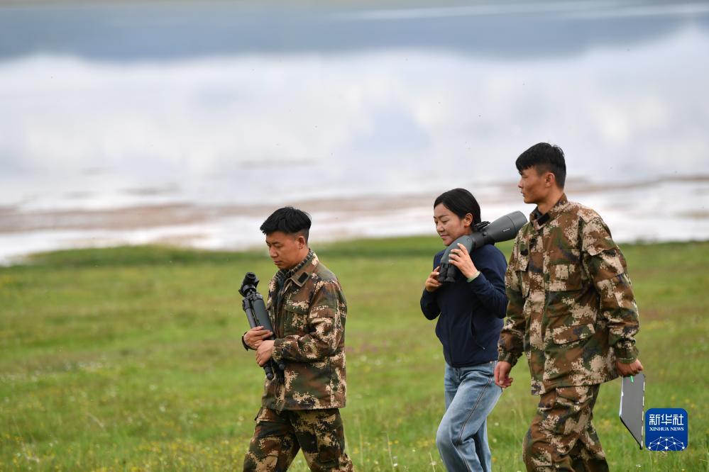新濠账号注册